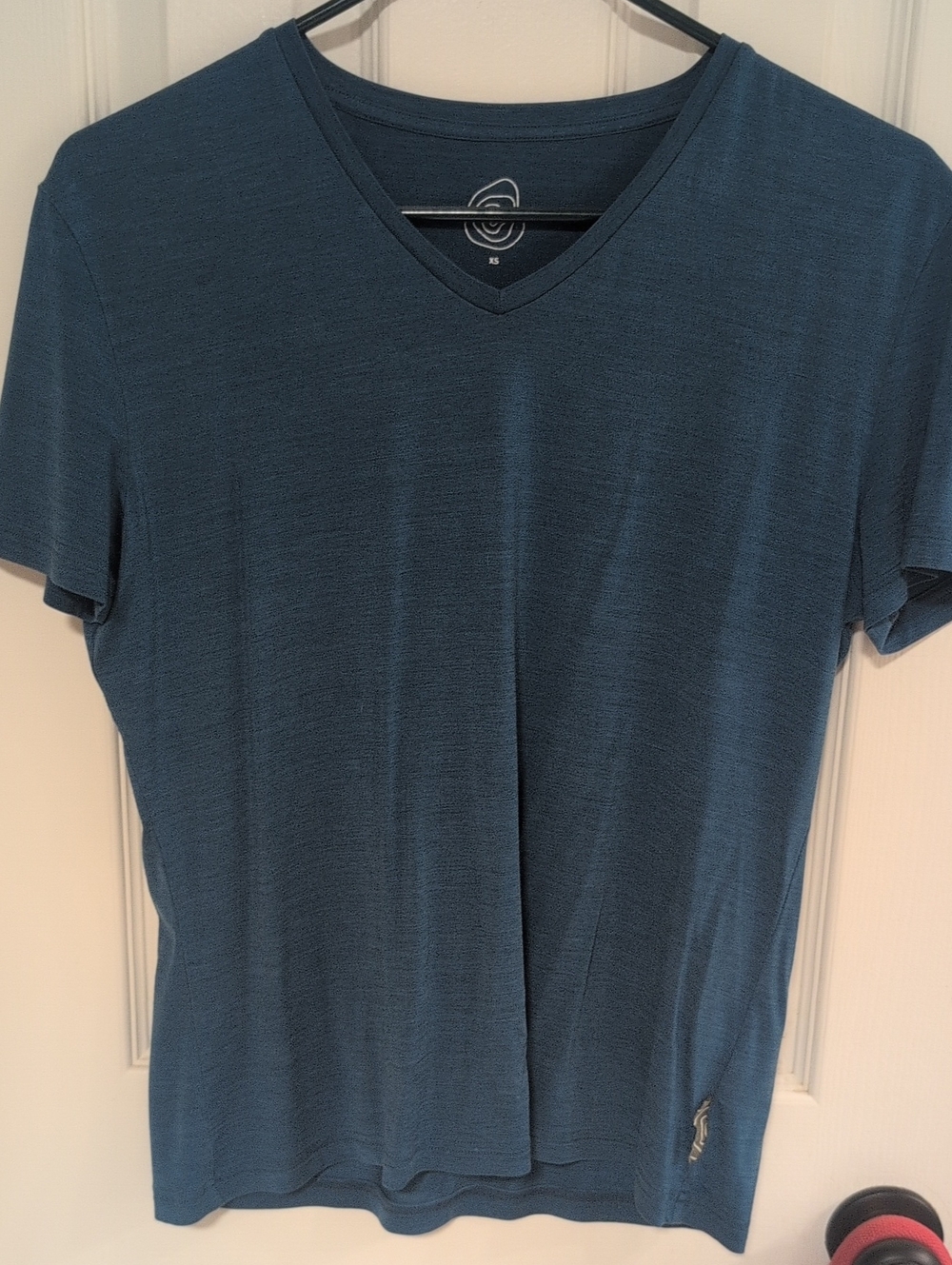 Nui Organics Women's V-Neck Short Sleeve Tee in Teal